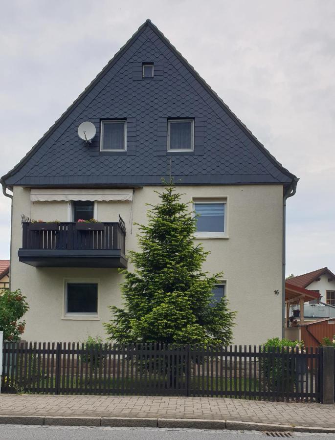Ferienwohnung Familie Thiedemann Пирна Екстериор снимка